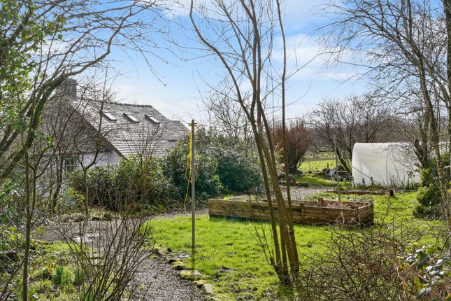 Cottage for sale in Tanfalier, Penuwch, Tregaron, Ceredigion