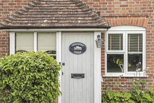 Collyers Farm,, Forest Road, Hambledon photo 3
