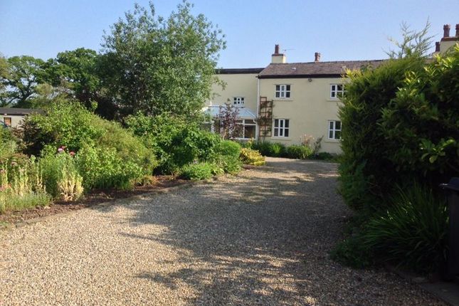 Thumbnail Equestrian property for sale in Sanfield Stud, Leyland Lane, Leyland