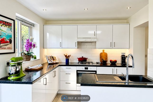 Carew Road, London photo 4