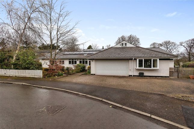 Thumbnail Bungalow for sale in Hawthorn Grove, Yarm, Durham