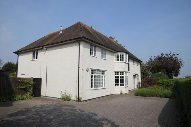 Thumbnail Detached house for sale in Downham Road, Ely