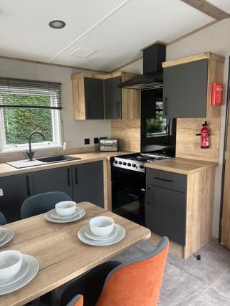 2026 ABI Hamilton, Meadows Retreat Lodge park, Cockermouth photo 4