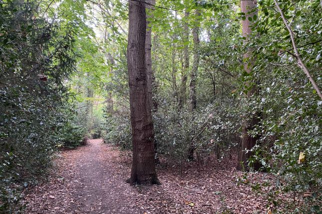 Copper Beech Close, Surrey photo 3