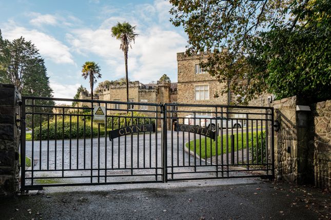 17, Clyne Castle, Blackpill photo 2