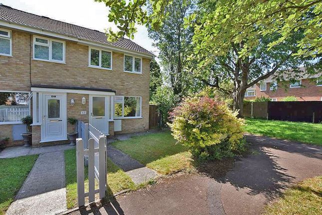 Thumbnail Terraced house to rent in Emsworth Grove, Maidstone
