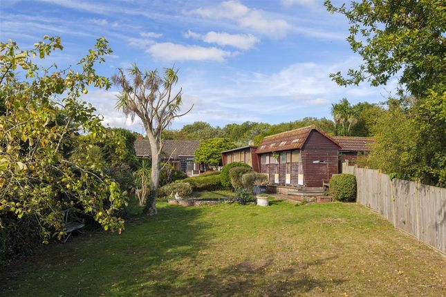 Ifield Lodge, Whitstable photo 2