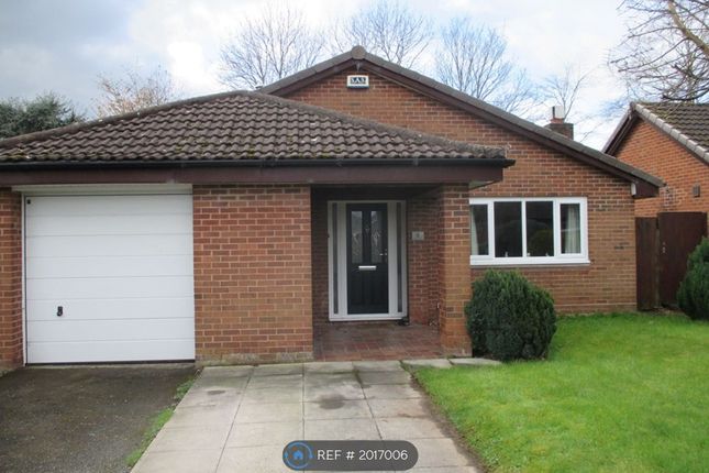 Thumbnail Bungalow to rent in Whites Meadow, Chester
