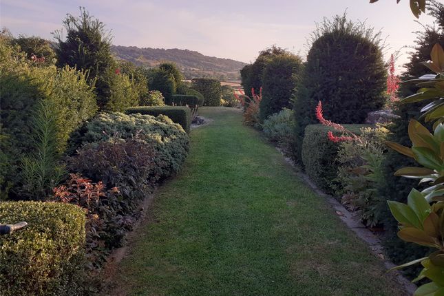Budleigh Farm & Cottages,, West Buckland, Somerset photo 4