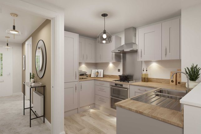 Kingsville Kitchen