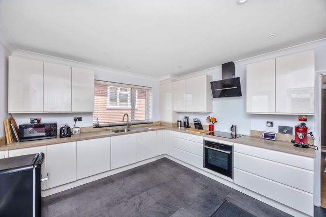 81 Wilson Avenue, Brighton photo 4