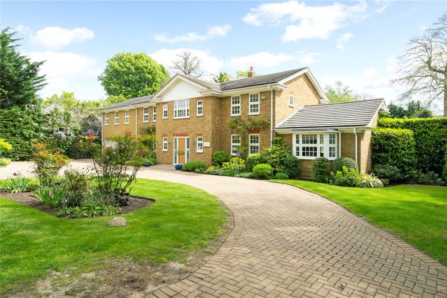 Thumbnail Detached house for sale in Ince Road, Burwood Park, Walton-On-Thames, Surrey