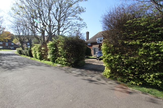 3, The Grove, Eastbourne photo 3