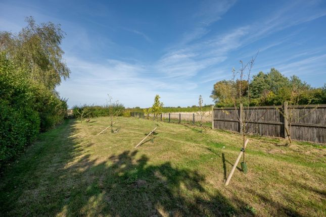 Flint Lodge, Wells Road, Fakenham photo 4