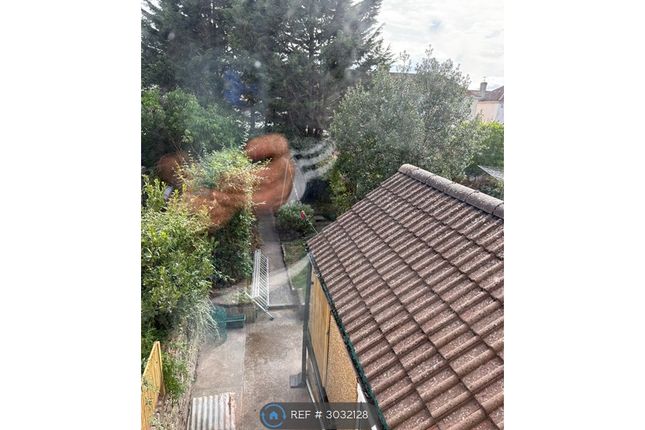 Forest Avenue, Bristol photo 5
