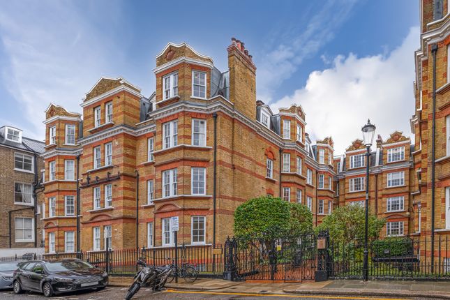 Pitt Street, Kensington photo 3