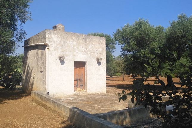 Thumbnail Cottage for sale in Via Serranova, Carovigno, Brindisi, Puglia, Italy