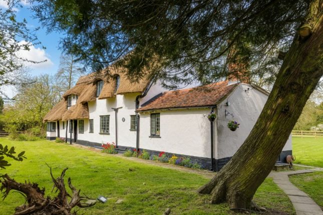 Flat Little Penton, Little Penton, Onslow Green, Essex photo 3