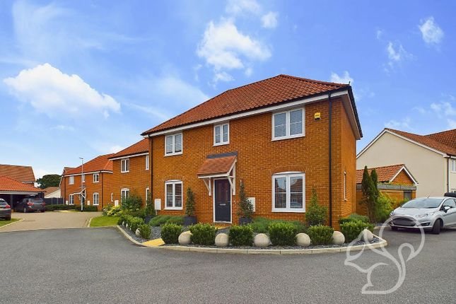 Thumbnail Detached house for sale in Rubens Close, Alresford, Colchester
