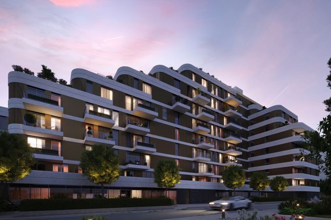 Potters Road Elevation _ Chelsea Riverview.Jpg