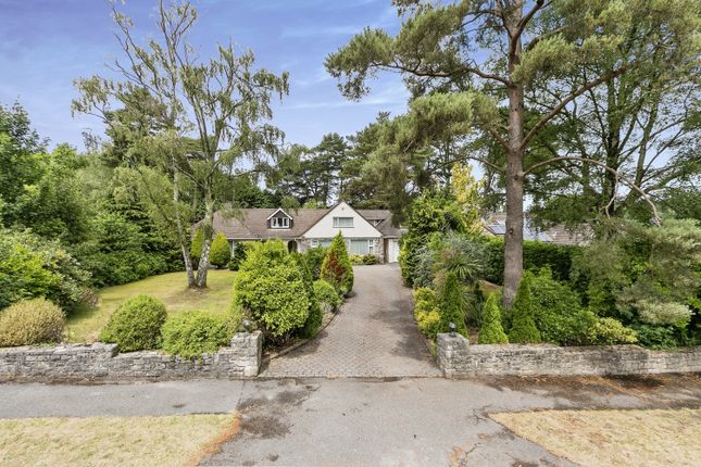 Thumbnail Bungalow for sale in St. Ives Park, Ashley Heath, Ringwood