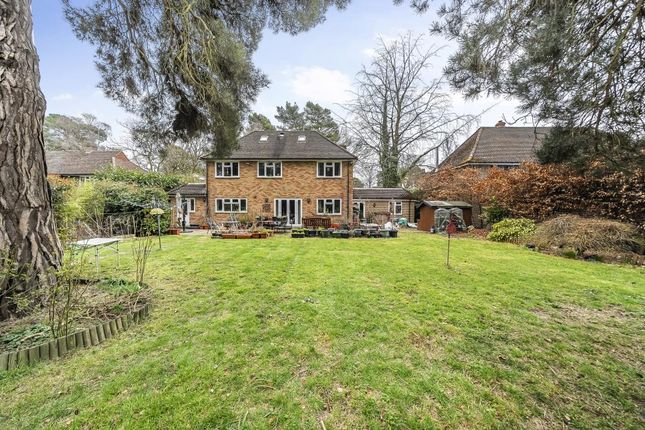 RESTWYNDE, Pyford, Woking photo 2