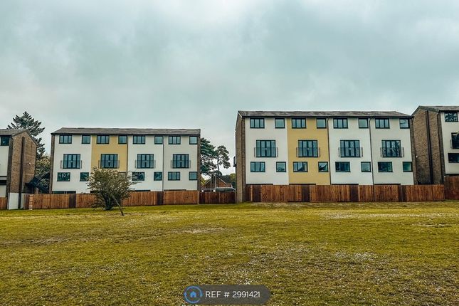 Essex Close, The Pines, Bordon photo 2