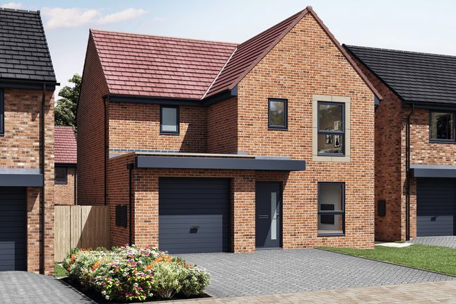 Thumbnail Detached house for sale in "The Maddison" at Alan Peacock Way, Middlesbrough