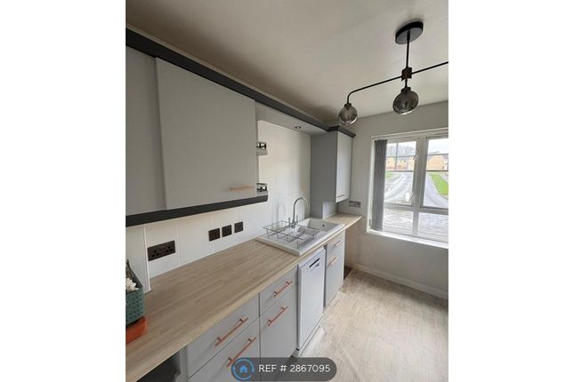 Jacana Way, Bradford photo 4
