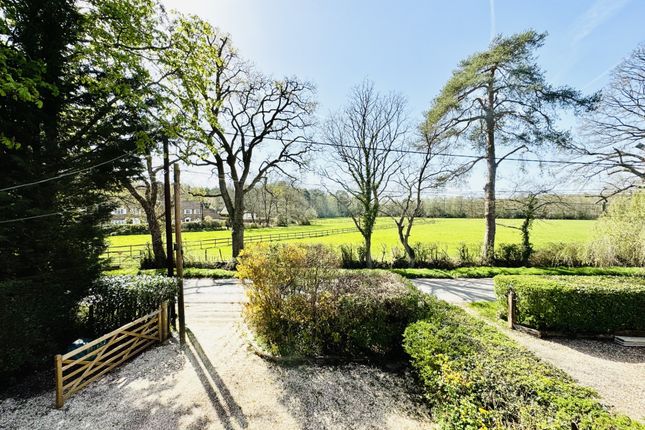 Jasmine Cottage, Jasmine Cottage, Eversley photo 2