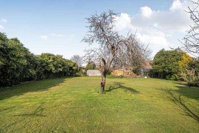 109, Main Road, Emsworth photo 3