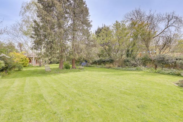 149 Wellmeadow Road, London photo 4
