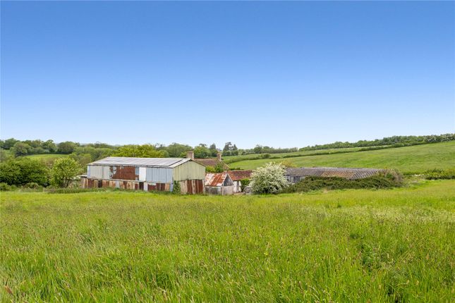 Webbs Hill Farm,, Egford Lane, Frome photo 4