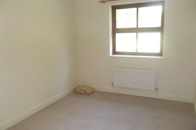 27, Exeter photo 5