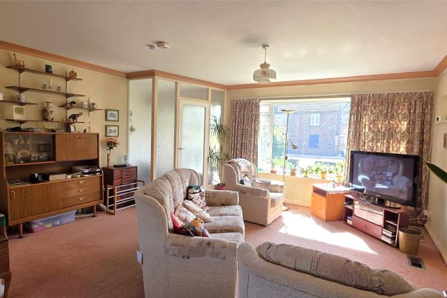 Kiek Wedder In,, Ladbroke Road, Surrey photo 2