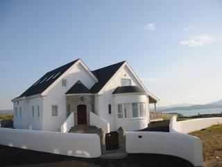 Houses For Sale On The Coast Of Ireland Modern House