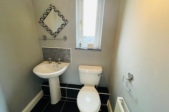 177 Skomer, Milford Haven photo 4