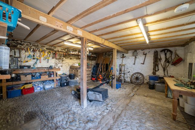 Frongogfarm_Workshop