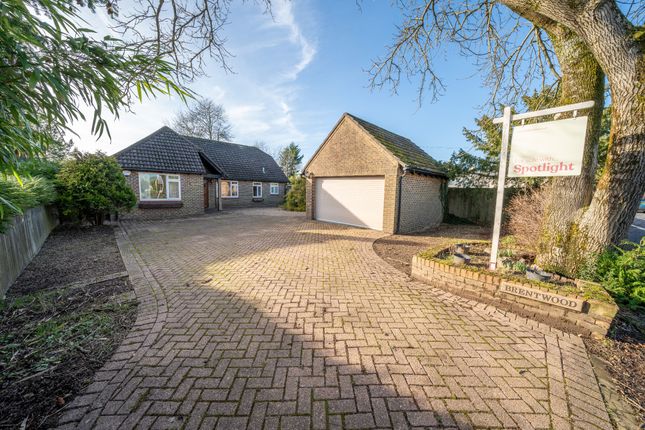Thumbnail Bungalow for sale in Goose Green, Lyndhurst
