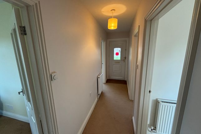 Entrance Hallway (2)