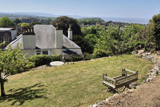 Gardens And View