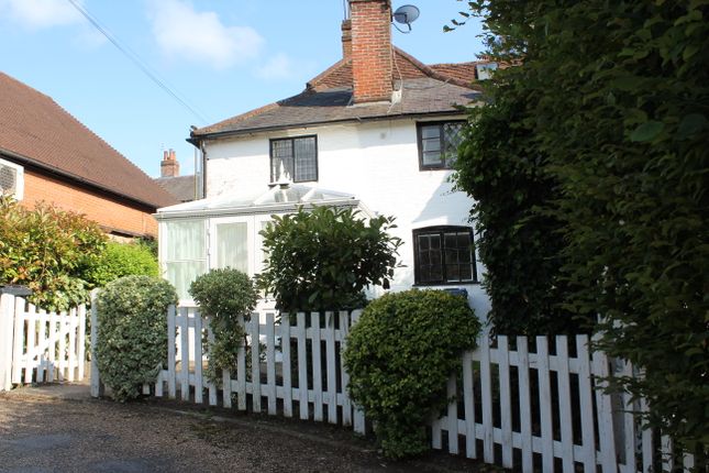 Thumbnail Cottage to rent in Godalming, Surrey