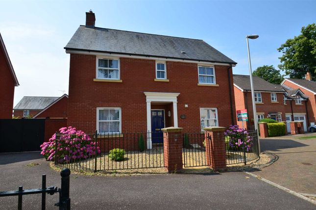 Thumbnail Detached house to rent in Marley Close, Tiverton, Devon