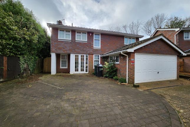 Thumbnail Detached house to rent in Chartfield, Hove
