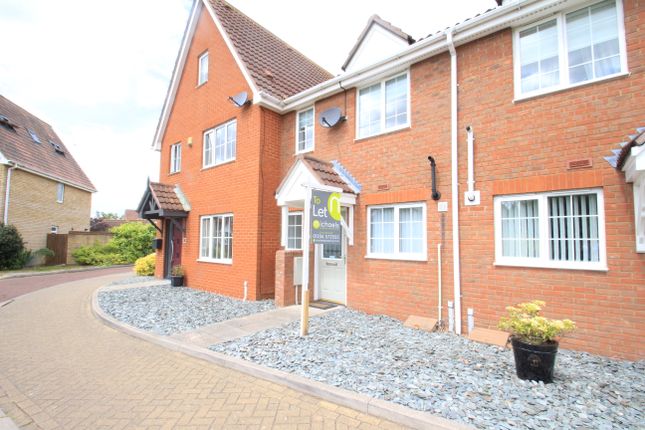 Thumbnail Terraced house to rent in Magnus Drive, Colchester