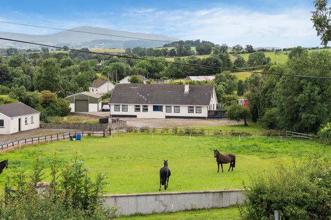 5, Seavaghan Road, Ballynahinch photo 3