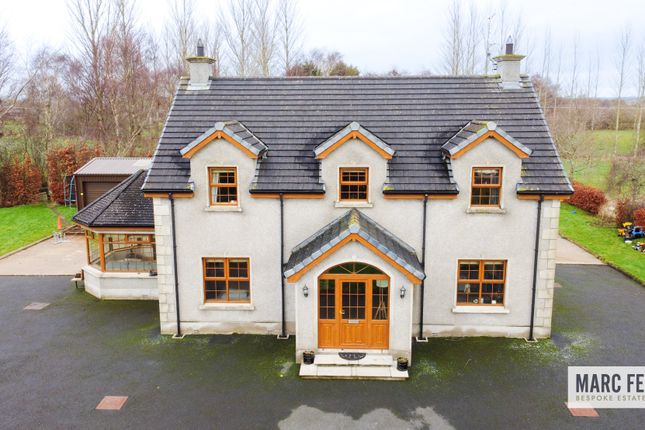 Thumbnail Detached house for sale in Boghead Bridge Road, Craigavon