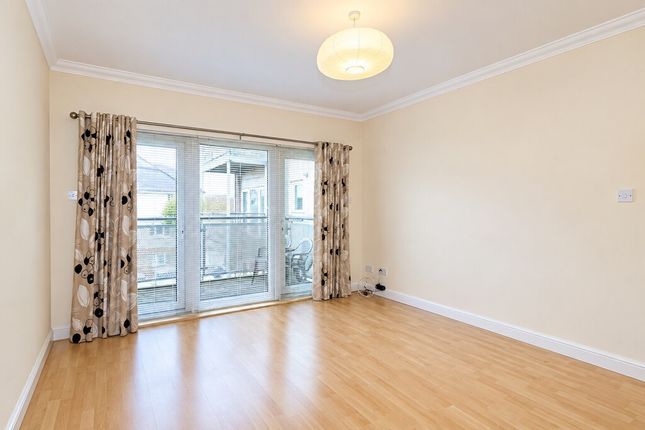 Hawk Brae, Livingston, Livingston photo 5