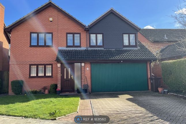 Thumbnail Detached house to rent in Red House Close, Lower Earley, Reading