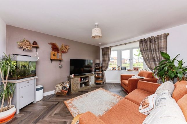 19, Acorn Avenue, Louth photo 2